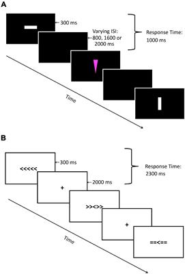 The Effects of Aging and Time of Day on Inhibitory Control: An Event-Related Potential Study